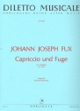 Capriccio und Fuge g-moll KV404 fr Cembalo