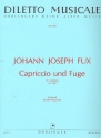 Capriccio und Fuge g-moll KV404 fr Cembalo