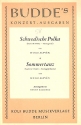 Schwedische Polka  und  Sommertanz: fr Salonorchester