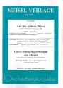 Auf der grnen Wiese  und   Unter einem Regenschirm am Abend fr Salonorchester Piano-Direktion und Stimmen