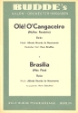 Ole O'cangaceiro   und  Brasilia: fr Salonorchester