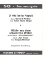 O mia bella Napoli  und Mädle aus dem schwarzen Wald: für Combo