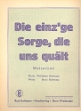 Die einzige Sorge die uns qult: fr Salonorchester