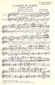 Fallende Bltter: fr Salonorchester