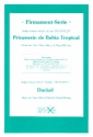 Prinzessin de Bahia Tropical   und Dackel: fr Combo