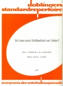 Ich kann mein Schlsselloch net finden: Einzelausgabe fr Gesang und Klavier mit Akkorden