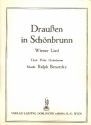 Drauen in Schnbrunn: fr Klavier/Gesang/Gitarre