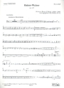 Kaiserwalzer op.437 fr Orchester Kontrabass
