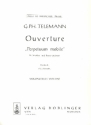 Ouvertre Perpetuum mobile D-Dur fr Streichorchester und Bc Cello / Ba