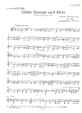 Unter Donner und Blitz op.324 fr Orchester Violine 2