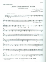 Unter Donner und Blitz op.324 fr Orchester Viola