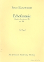 Echofantasie op.10b fr Orgel