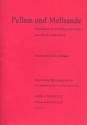 Pelleas und Melisande  Libretto (dt)