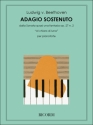 L.V. Beethoven Adagio Sostenuto Piano