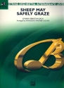 Sheep may safely graze for string orchestra score and parts