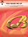 You Raise Me Up  for string orchestra score and parts