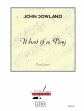 DOWLAND WHAT IF A DAY GUITARE SEULE