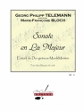 TELEMANN/BLOCH SONATE EN LA MAJEUR (GETREUE MUSIK MEISTER) 2 BASSES DE VIOLE