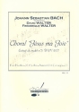 Choral Jesus ma joie BWV227 pour 2 hautbois, 2 hautbois d'amour et cor anglais partition et parties