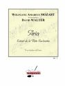 MOZART/WALTER D. ARIA (FLUTE ENCHANTEE) VIOLON ET PIANO