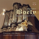 Boly, Alexandre Pierre Franois Le Style Moderne - Ausgewhlte Orge  CD
