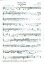 Missa angelica fr Sopran (Tenor), gem Chor und Orchester Violine 2