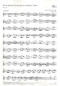 Es ist nichts Gesundes an meinem Leibe Kantate Nr.25 BWV25 Violine 1/Oboe 1