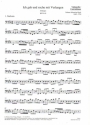 Ich geh und suche mit Verlangen BWV49 fr Soli (SB), Ob d'amore, 2Vl, Va, Vc piccolo, obl.Orgel und Bc Violoncello/Kontrabass