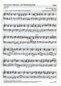 Ich armer Mensch, ich Sndenknecht Kantate Nr.55 BWV55 Orgel
