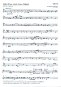 Ser Trost mein Jesus kmmt Kantate Nr.151 BWV151 Violine 2