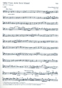 Ser Trost mein Jesus kmmt Kantate Nr.151 BWV151 Viola