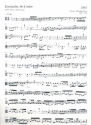 Erschallet, ihr Lieder Kantate Nr.172 BWV172 Viola 2