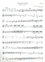 Sinfonia d-Moll BR-WFBC7/Fk65 fr 2 Flten , Streicher und Bc Violine 1