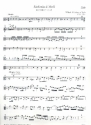 Sinfonia d-Moll BR-WFBC7/Fk65 fr 2 Flten, Streicher und Bc Viola