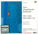Herr Gott, dich loben wir  CD