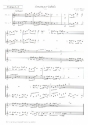 Sonata per Tabula fr 3 Blockflten (SSA), 3 Violinen, 2 Violen und Bc Spielpartitur Violine