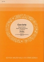 M.Schumacher / arr. R.Bui Con brio Akkordeon-Orchester Partitur