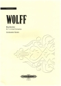 Burdocks for 1-x orchestras conductor score, Groformat