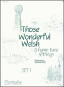 Wilbur Held Those Wonderful Welsh, Set 1 Organ