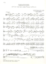 Variationen auf einer Saite nach einem Thema von Rossini fr Violoncello und Streicher Viola