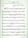 Jauchzet dem Herrn fr Bass, Trompete (Oboe), Streicher und Bc Stimmensatz (Trp (Ob)-3-0-2-3)