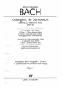 O Ewigkeit, du Donnerwort BWV60 fr Soli, gem Chor, 2 Ob, 2 Ob d'amore, Horn, 2Vl, Viola und Bc Orgel