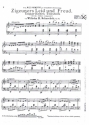 Zigeuners Leid und Freud f�r Zither