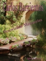 Carlos Barrientos Periwinkle Memories Gitarre Spielpartitur