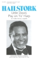 Adolphus Hailstork Little David, Play On Yo' Harp Sopran und Frauenchor Chorpartitur