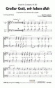 W.A. Mozart Groer Gott, wir loben dich (vierstimmig) fr SATB (Klavier ad lib.) Singpartitur