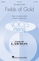 Fields of Gold for mixed choir (SAB) and piano choral score