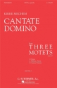 Kirke Mechem, Cantate Domino SATB a Cappella Chorpartitur