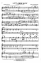 Edwin Penhorwood, Little Boy Blue 2-Part Choir and Piano Chorpartitur