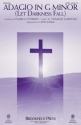 Pamela Stewart, Adagio In G Minor (Let Darkness Fall) SATB Chorpartitur